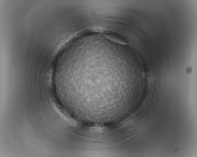 X0000115330404200911161814