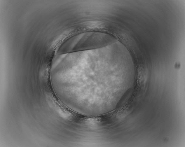 X0000115330405200911161814