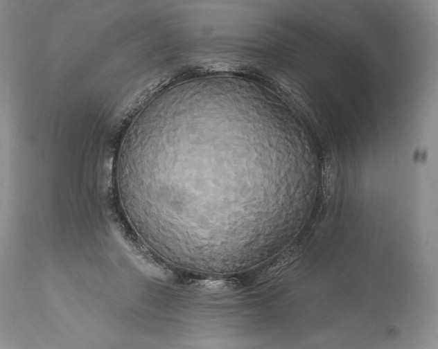 X0000115330406200911161814