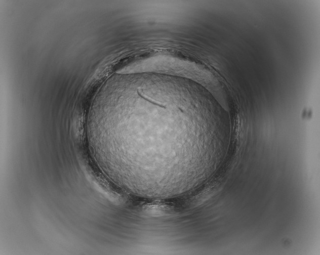 X0000115330408200911161814