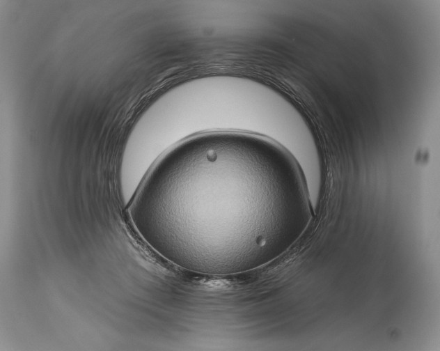 X0000115330409200911161814