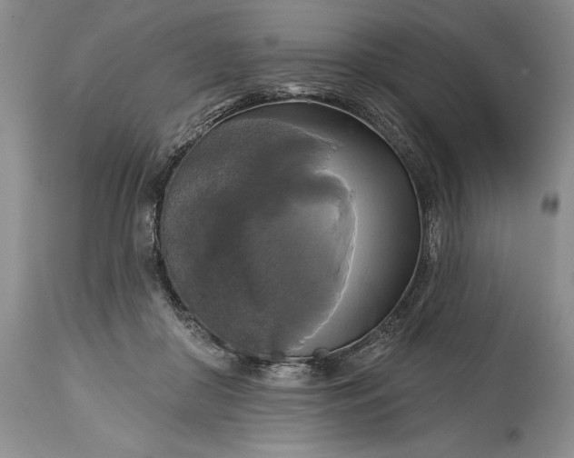 X0000115330410200911161814