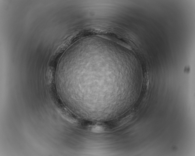 X0000115330412200911161813