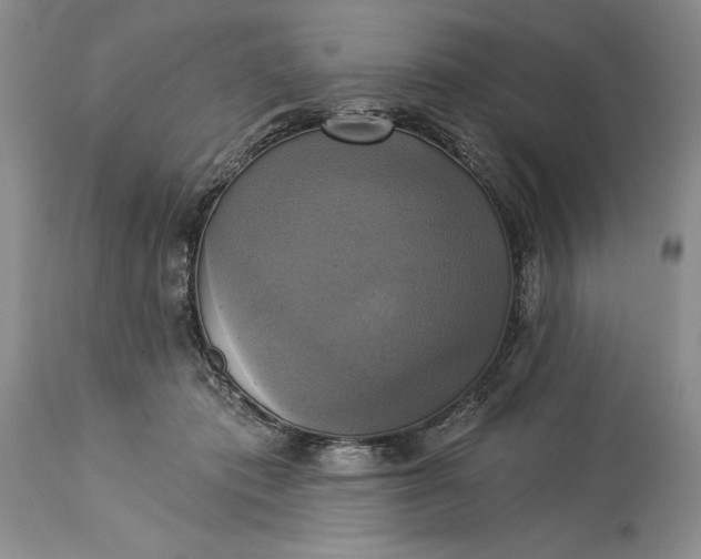 X0000115330413200911161813