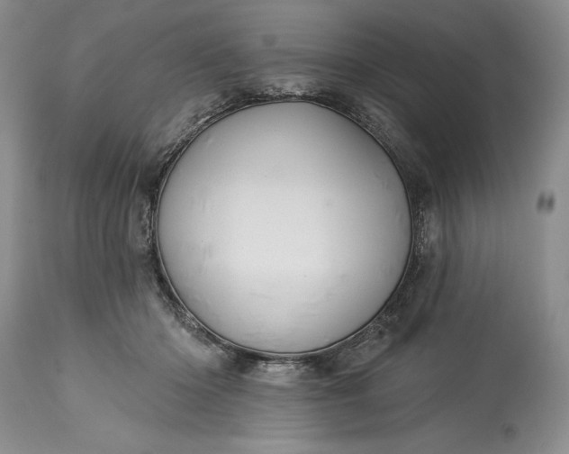 X0000115330414200911161813