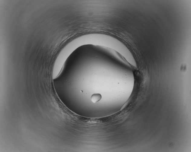 X0000115330415200911161813