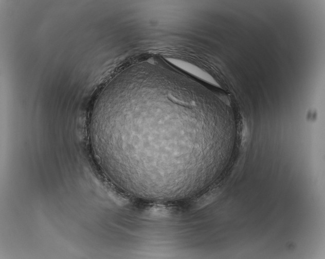 X0000115330416200911161813