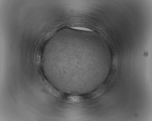 X0000115330417200911161813