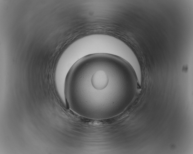 X0000115330419200911161813