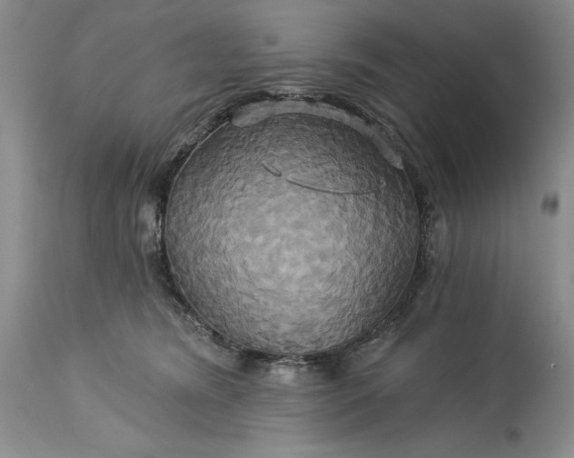 X0000115330420200911161813