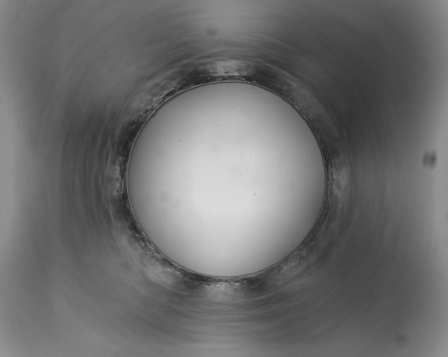 X0000115330422200911161813