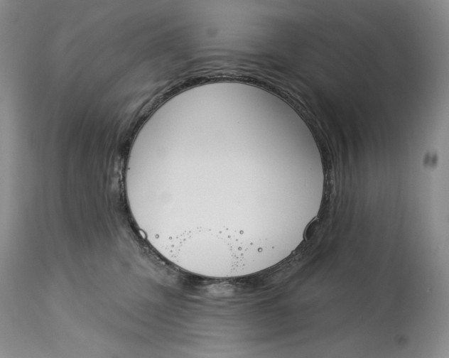 X0000115330423200911161813