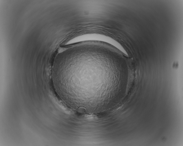 X0000115330424200911161813