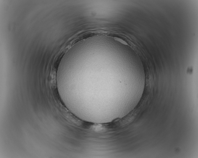 X0000115330425200911161813