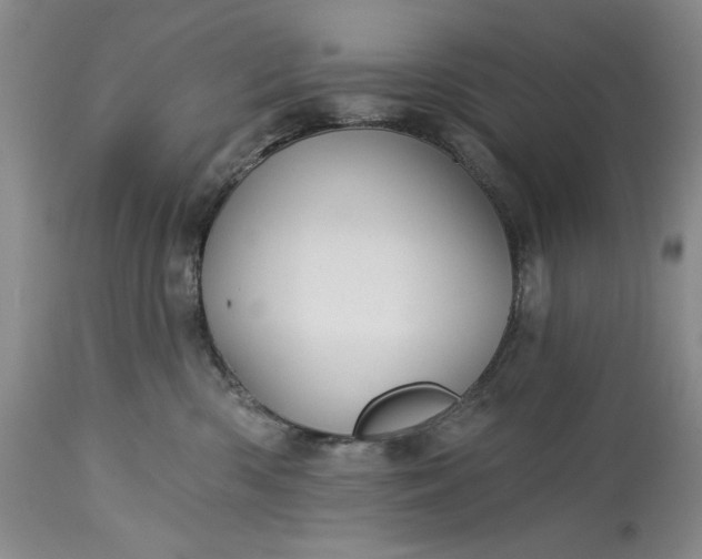 X0000115330426200911161813