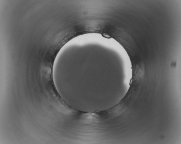 X0000115330427200911161813