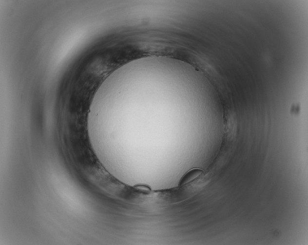 X0000115330430200911161813