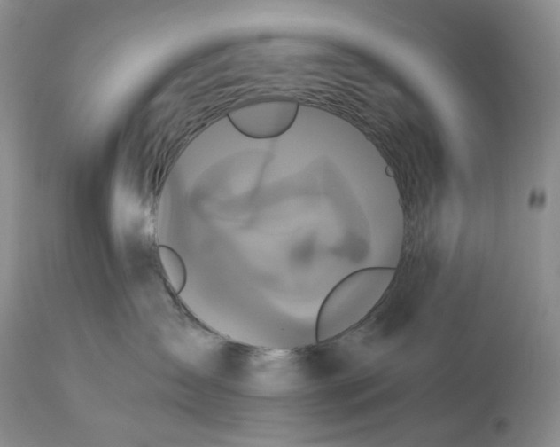 X0000115330431200911161813