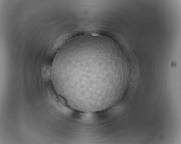 X0000115330432200911161813