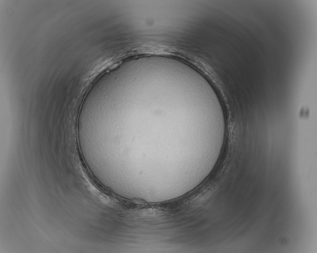 X0000115330433200911161812