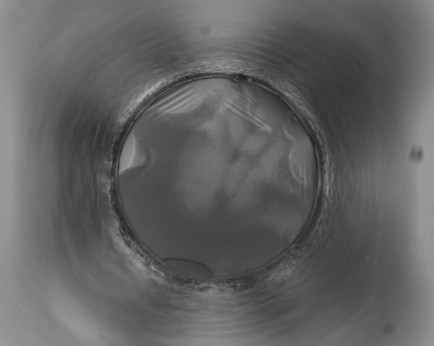 X0000115330434200911161812