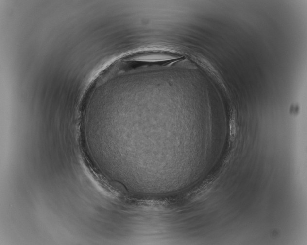 X0000115330436200911161812