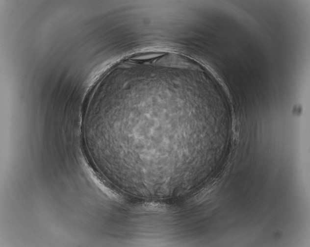 X0000115330437200911161812