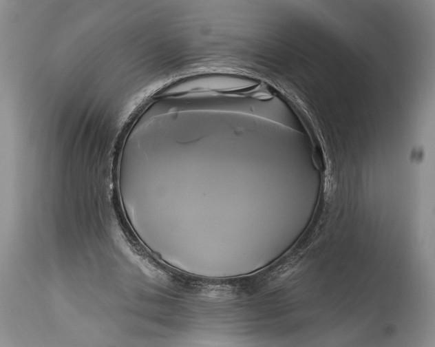 X0000115330438200911161812