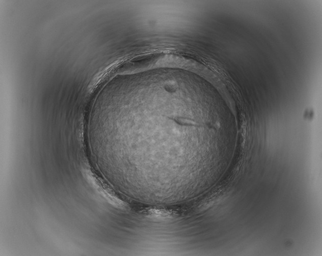 X0000115330442200911161812