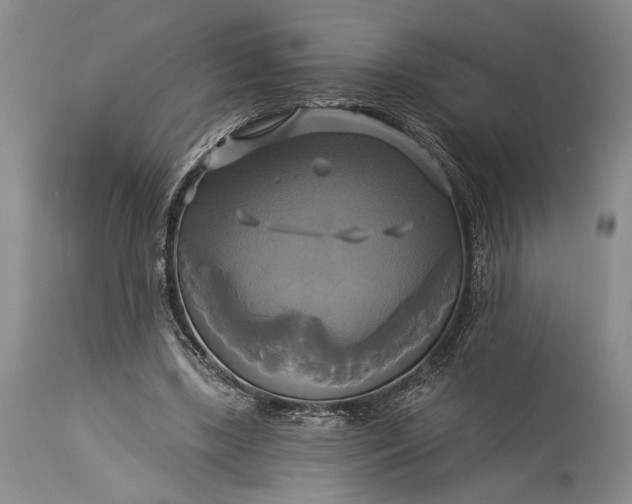 X0000115330443200911161813