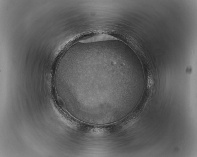 X0000115330444200911161813