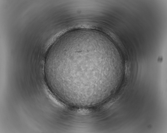 X0000115330445200911161813