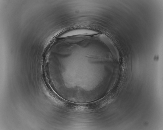 X0000115330446200911161813