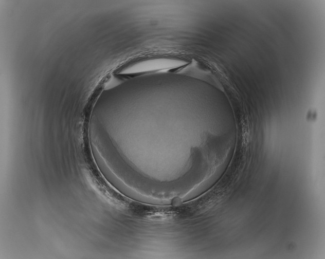 X0000115330447200911161813