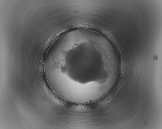 X0000115330449200911161813