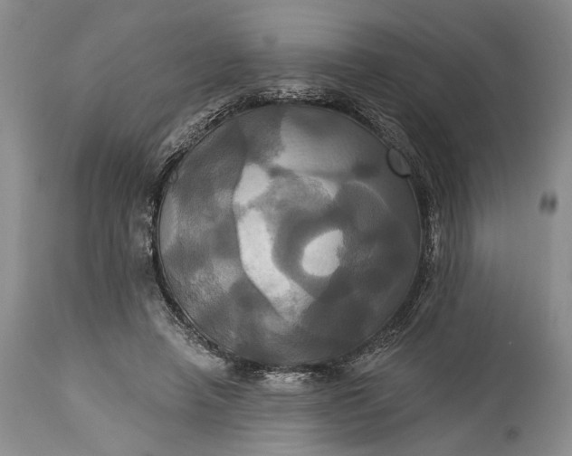 X0000115330450200911161813