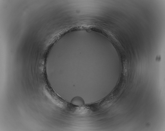 X0000115330451200911161813