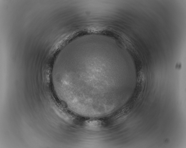 X0000115330452200911161813