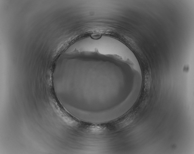 X0000115330453200911161813