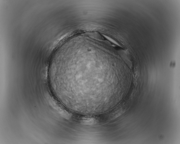 X0000115330454200911161813