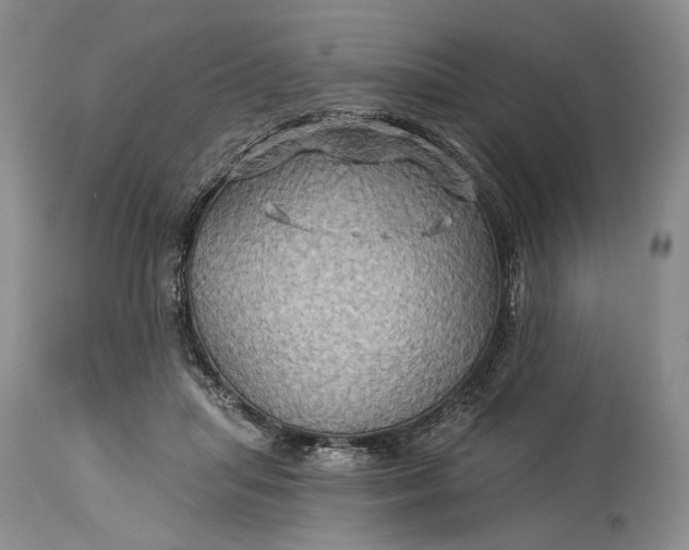 X0000115330455200911161813