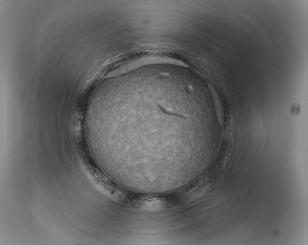 X0000115330456200911161813