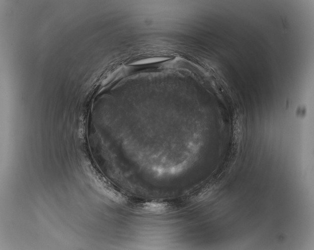 X0000115330457200911161813