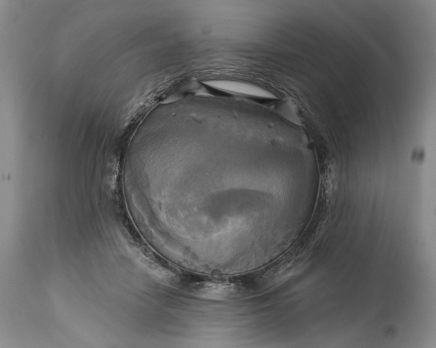 X0000115330458200911161813