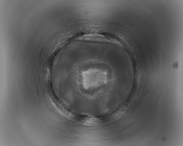 X0000115330459200911161813