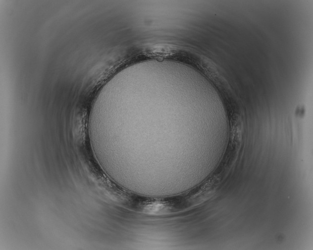 X0000115330460200911161813