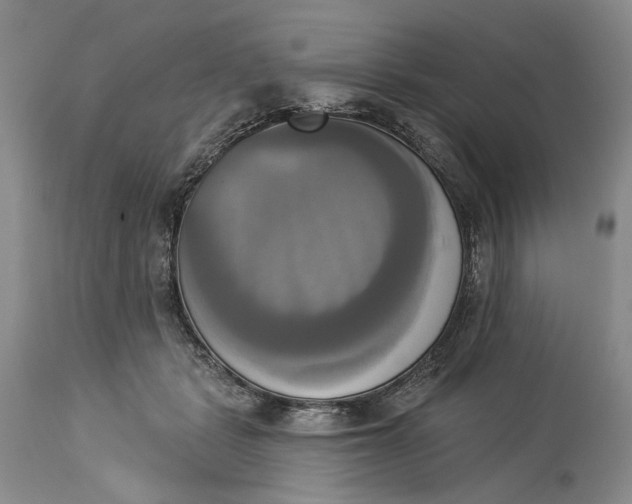 X0000115330461200911161813