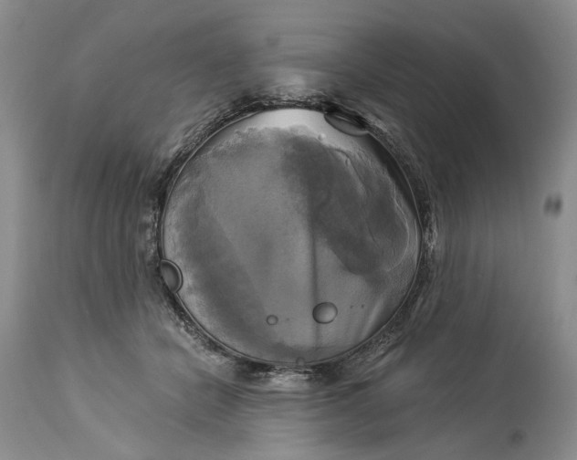 X0000115330462200911161813