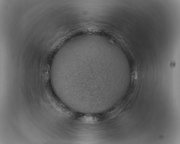 X0000115330464200911161813