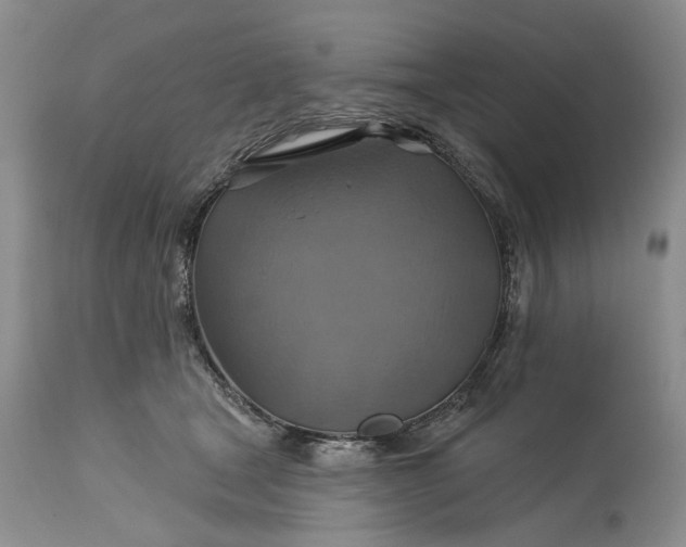 X0000115330465200911161813